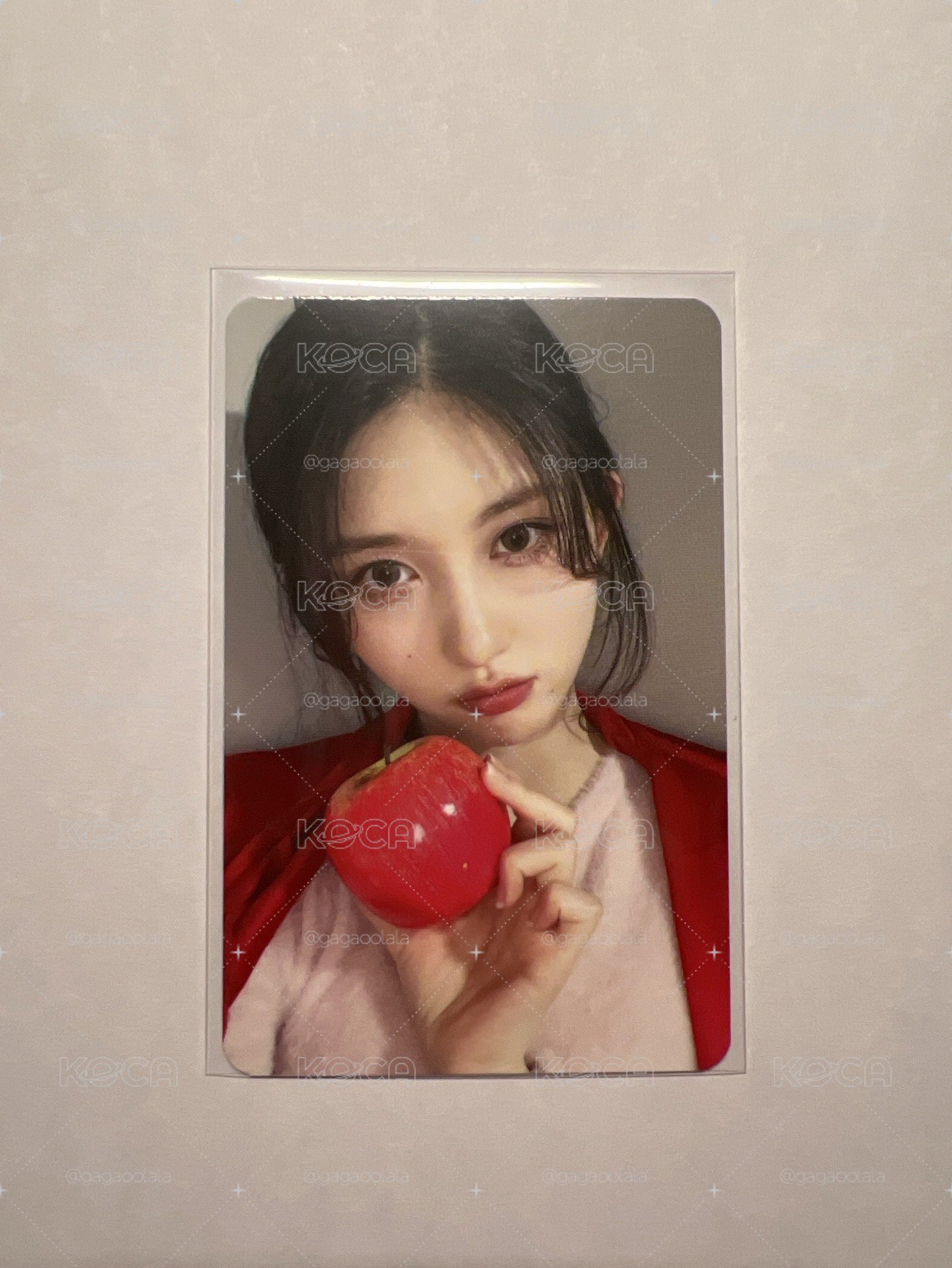 I'VE MINE ms 蘋果簽售 秋