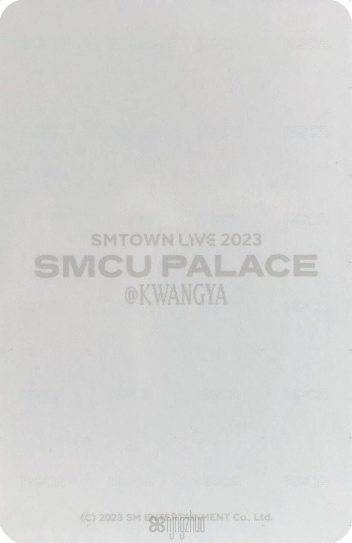 22SMCU 周邊卡 冰箱貼閃卡寧 背面