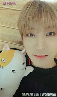 hmv 周邊卡 抱娃卡