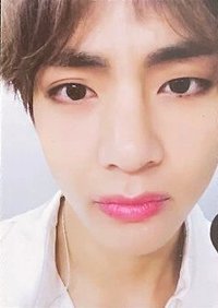 ARMYPEDIA 周邊卡 拼圖卡