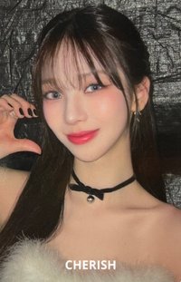 愛寶樂園 周邊卡 2.0 衣服柚