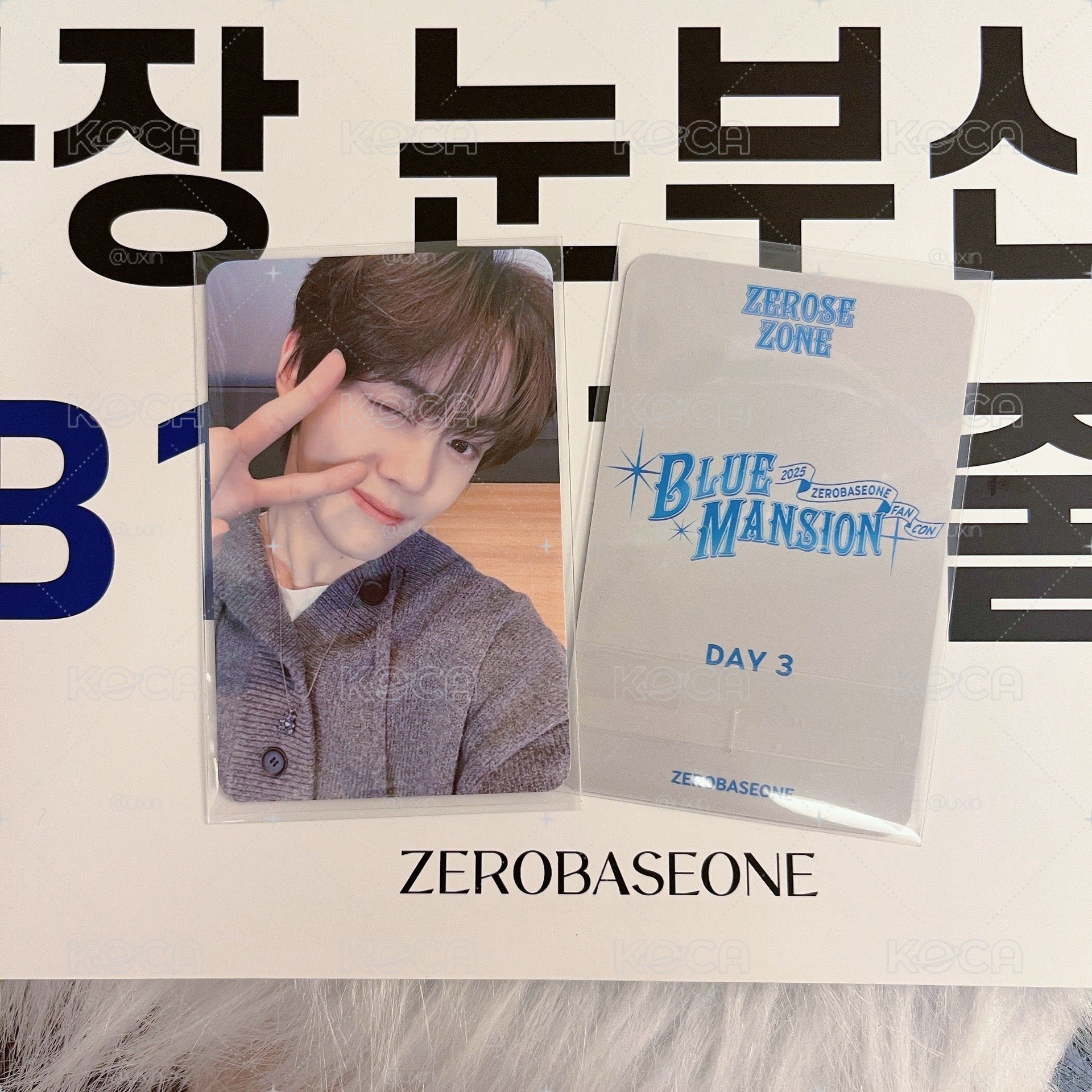 [金奎彬］Blue Mansion D3 粽卡