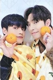 Will ms 4.0 簽售卡 