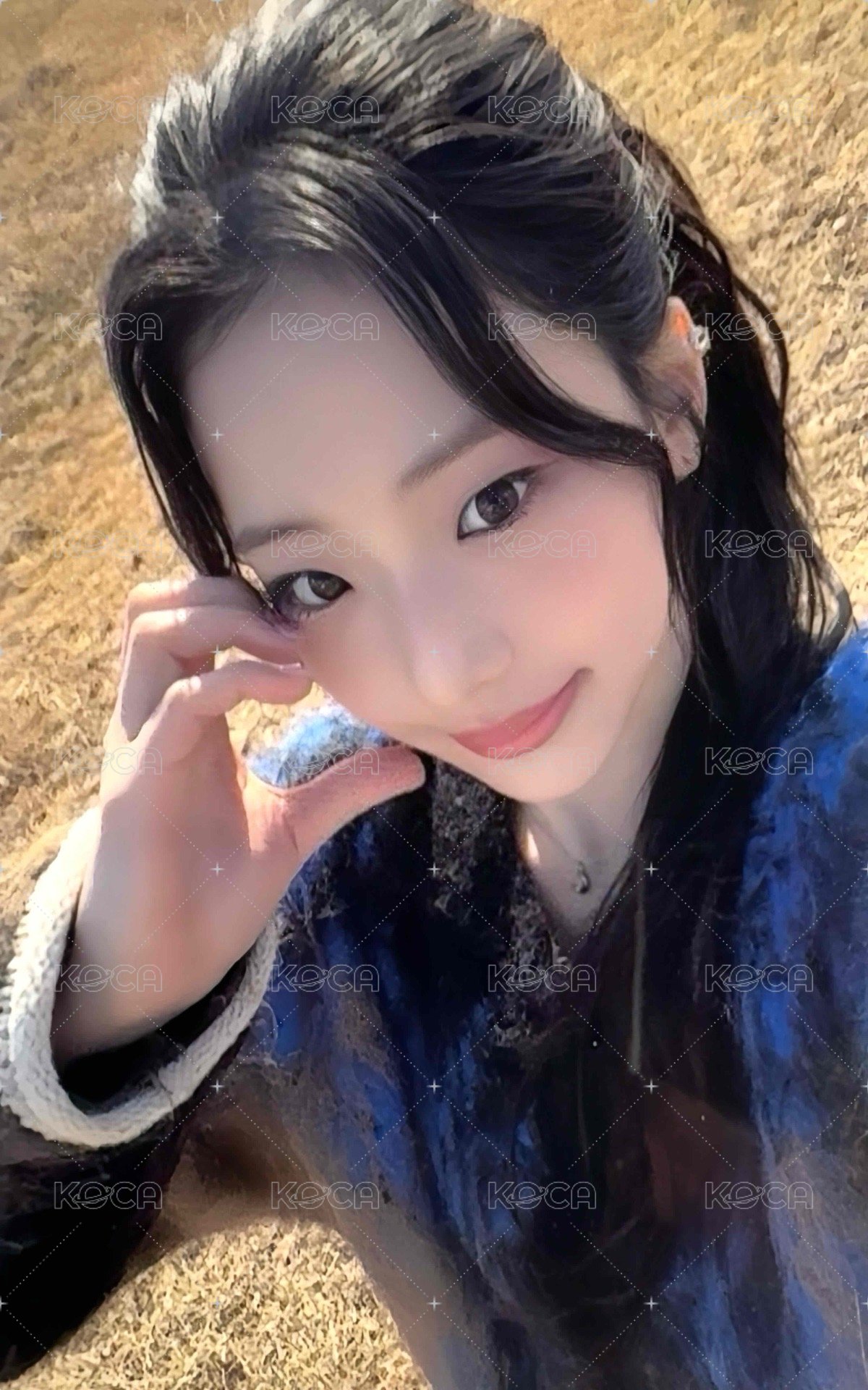 25’世巡 wvs 相框卡 周邊卡  正面