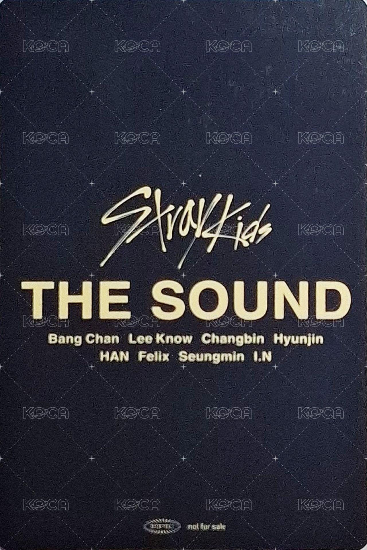 THE SOUND 入場卡 / 場限卡 大阪 02/26 背面