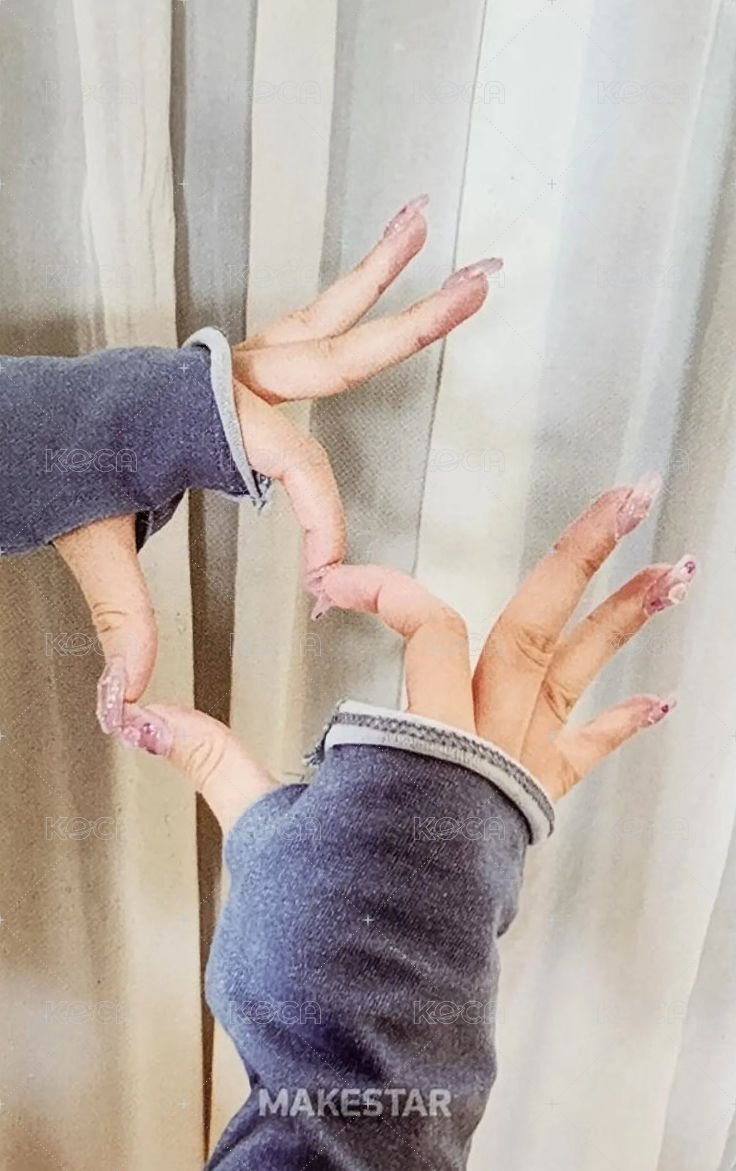 ENTWURF ms 3.0 簽售卡  背面