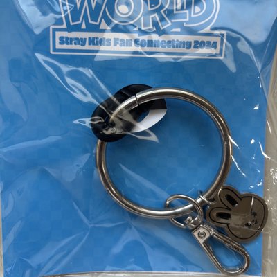 🤹🏻‍♀️SKZ TOY WORLD日本 FM LEEKNOW李旻浩 ID卡組🎠