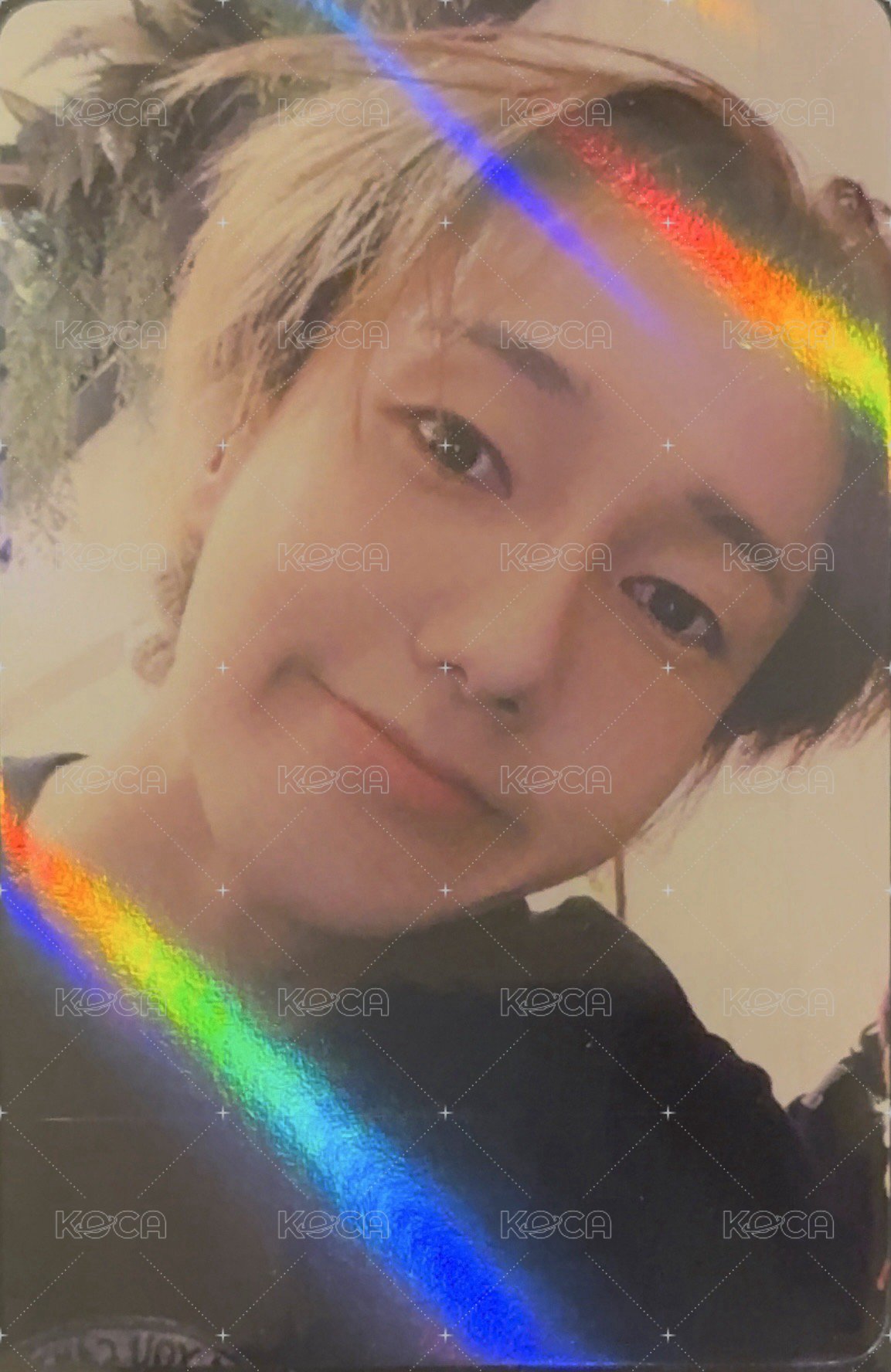 正規一 ms 特典卡  正面