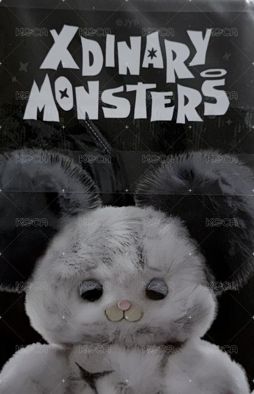 <Beautiful Mind>World Tour 周邊卡 卡套小卡 背面