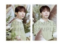 24’CAFE MG 明信片組 