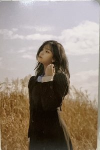 迷八 新那拉 特典卡 