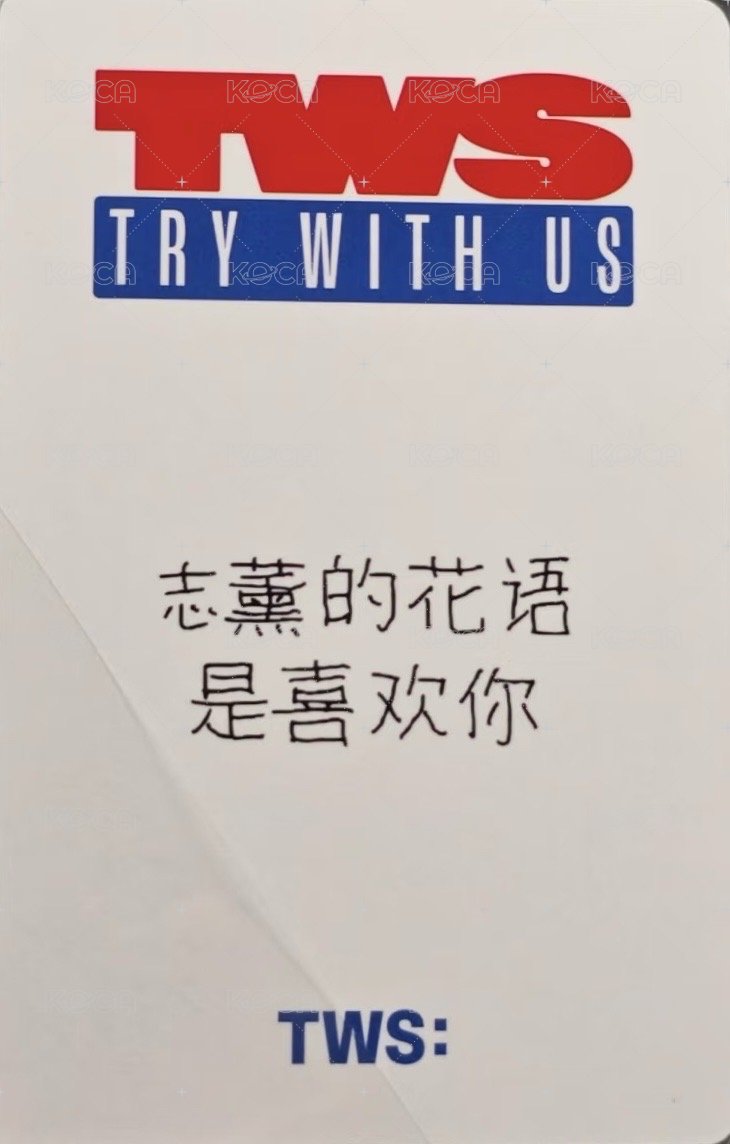 TRY WITH US yzy 晴天ver. 特典卡 中文卡背 背面