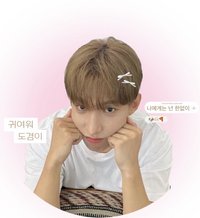 ⨳ ₊🛒˚17販賣部⊹ ｡