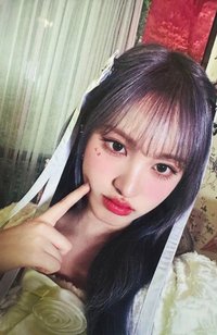 DICON 雜誌卡 B ver.