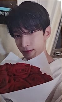 MINI12 環球 大阪 入場卡 / 場限卡 