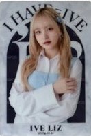 萬代 隨機卡 N11 餅乾卡Liz 正面