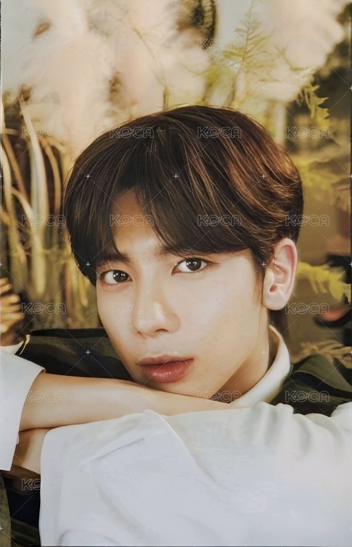 24’巡迴 入場卡 / 場限卡 日巡P席禮 正面