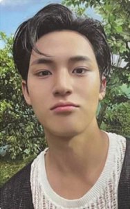 MINI11 專輯卡 WVS電子專ver 