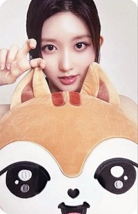 MINIVE PARK 快閃店 周邊卡 03 大臉抱枕卡