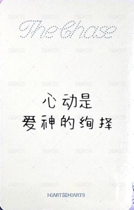 單一 yzy 2.0 特典卡  背面