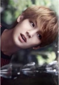 2018 d社 雜誌 D社 雜誌卡 d社透卡