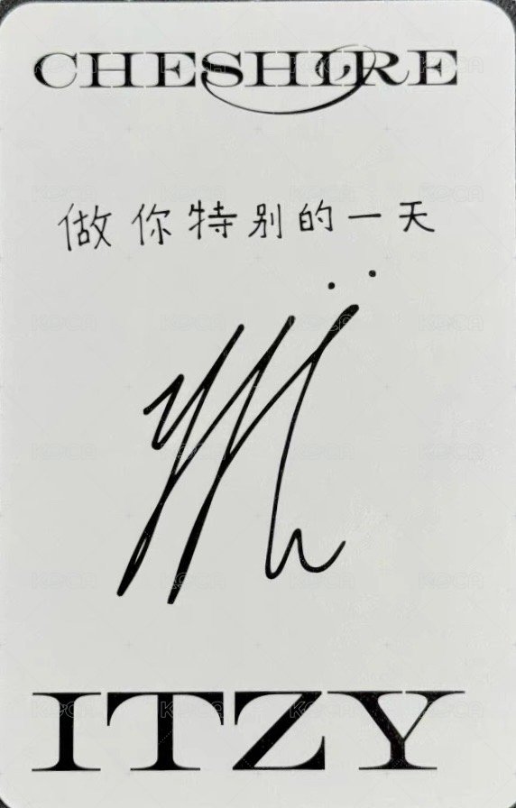 迷六 柴郡貓 yzy 預售 特典卡  背面