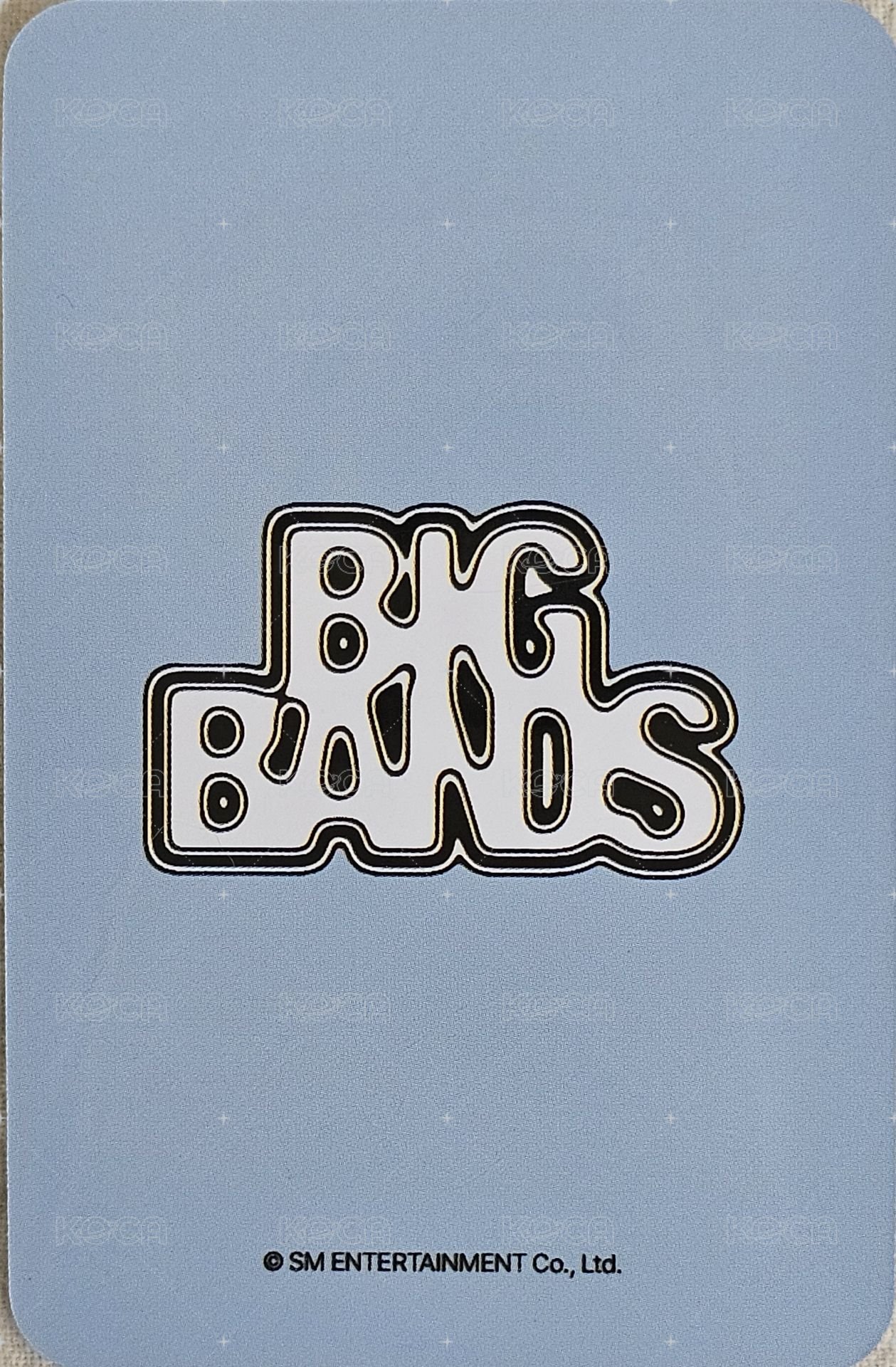 BIG BANDS dmm 特典卡  背面