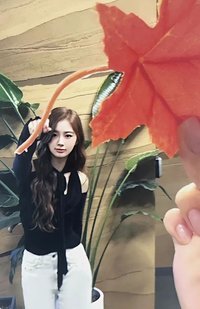 STICK OUT mmt 4.0 簽售卡 楓葉