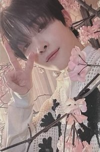 五月雨 yzy 青島線下中簽 抽選卡 