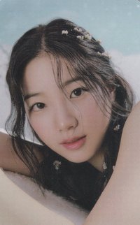 ANTIFRAGILE wvs 特典卡 單封預售特典