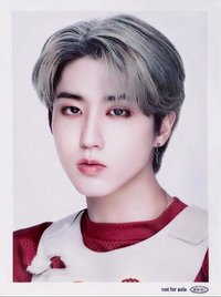 Social Path 索尼 特典卡 初回 證件照