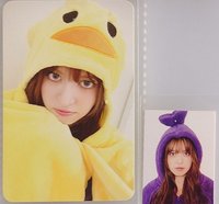 SW小鴨+天線寶寶證件照