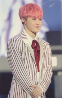 17’SEVENTEEN 演唱會 DVD / CD 卡 草莓勳