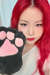 BADITUDE k4 1.0 簽售卡 貓爪ver.