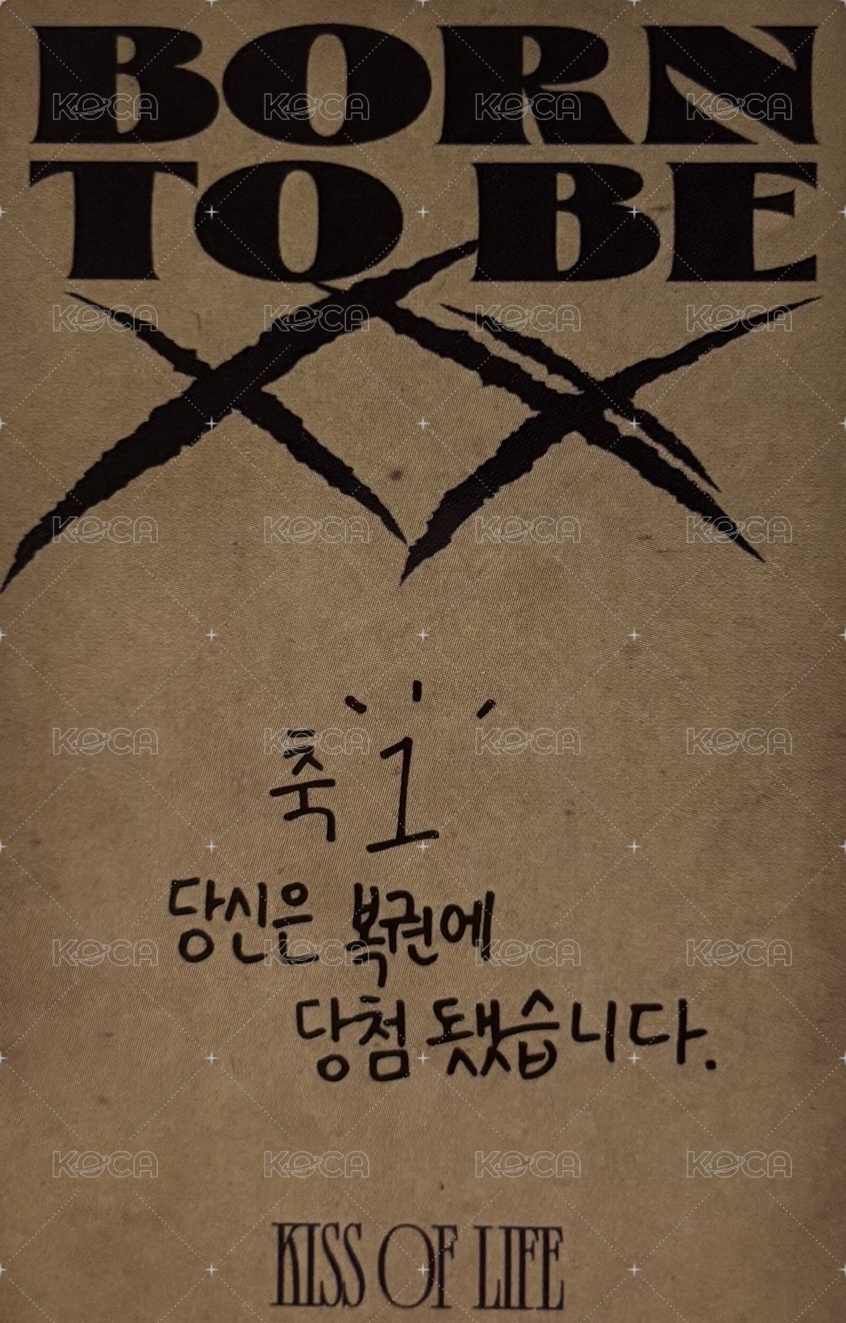 Born to be XX 專輯卡  背面