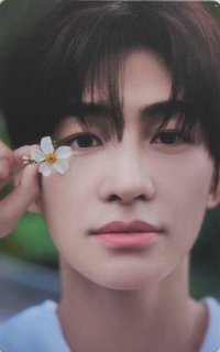 初次見面 wvs 特典卡 