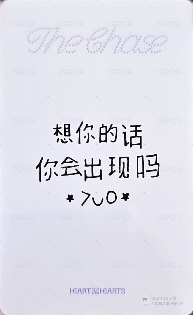 單一 yzy 1.0 特典卡  背面