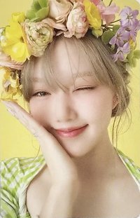 ARIA 專輯卡 粉版