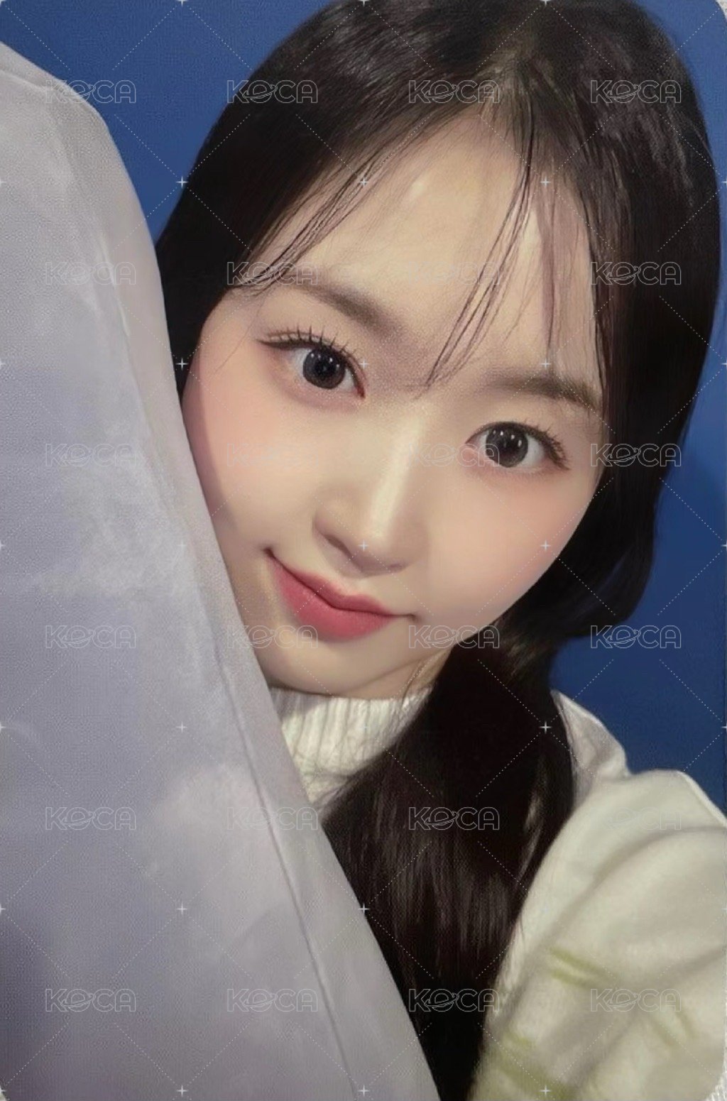 expérgo sw 4.0 簽售卡 抱枕 正面