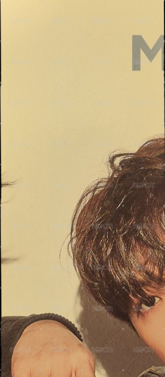 正二 專輯卡  背面