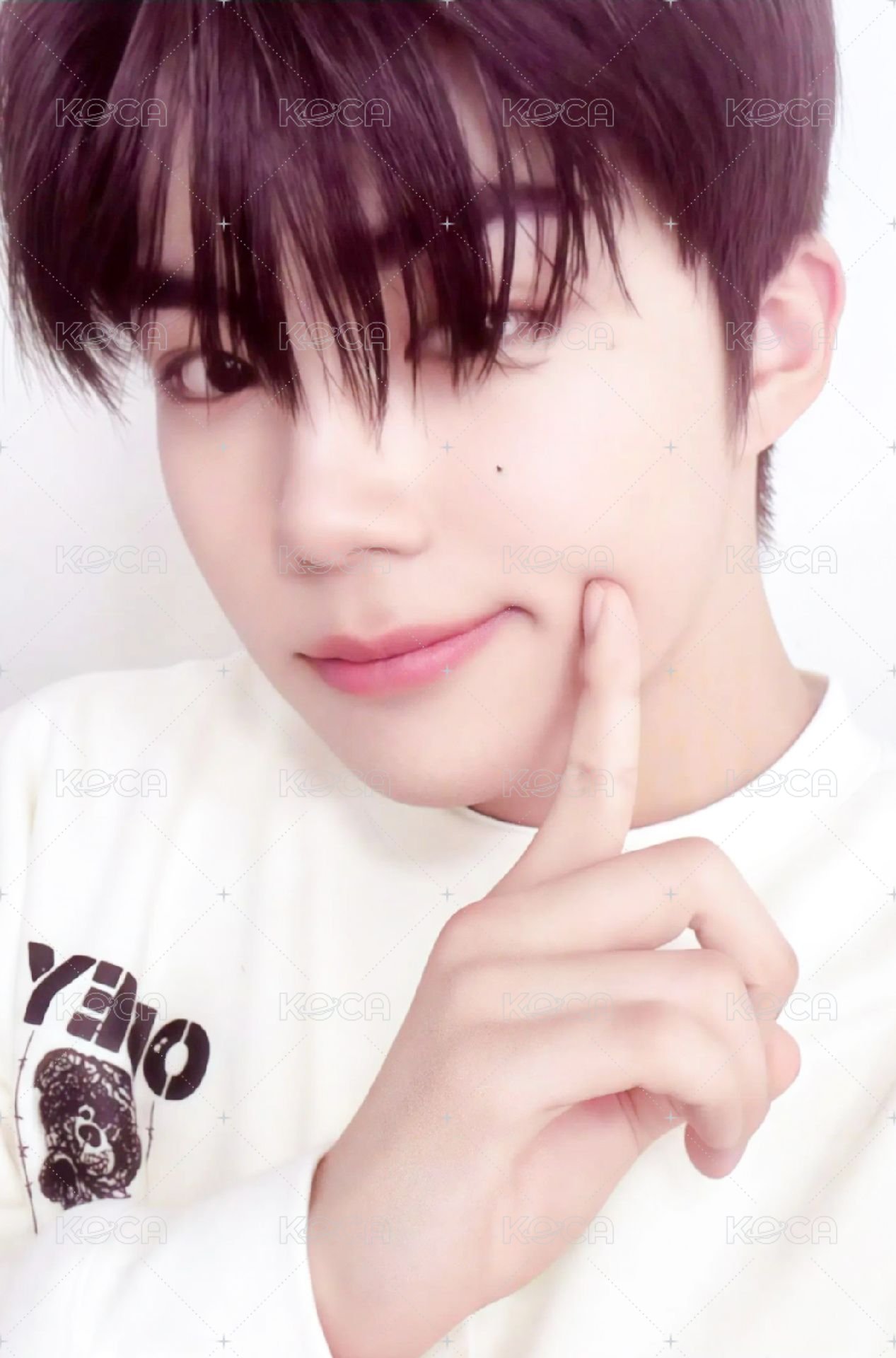 24'SG 年曆卡 固配卡 正面