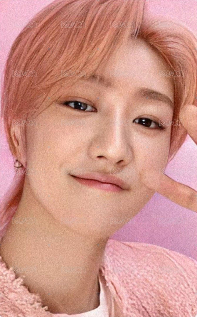 DREAM 日咖 特典卡 ｜WVSJP特典 正面