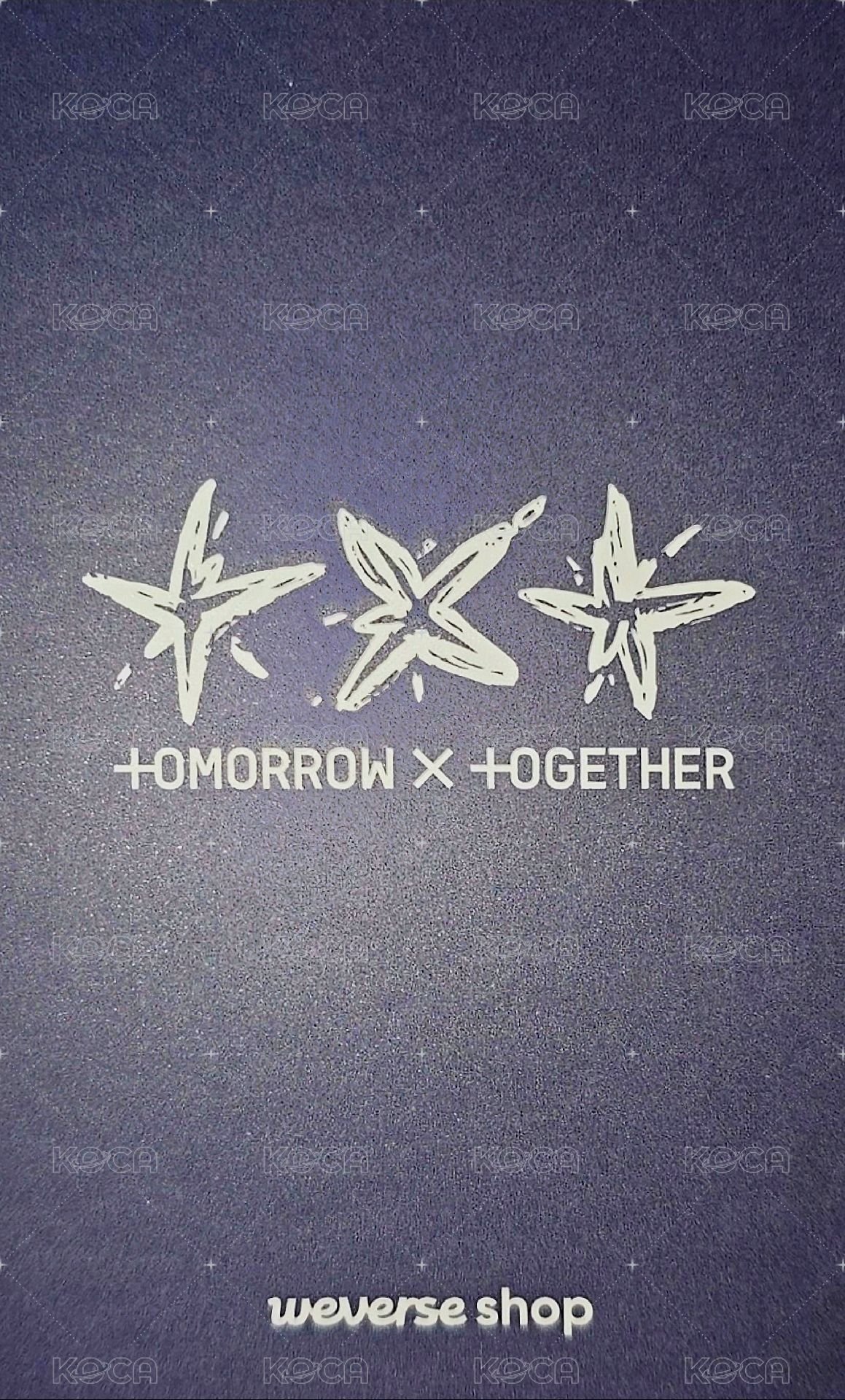 迷六 wvs 特典卡  背面