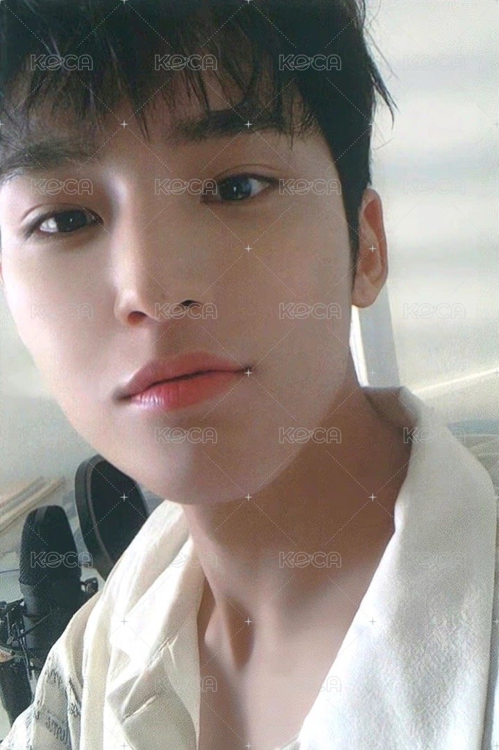 MINI9 專輯卡 ｜Op1 ver. 正面