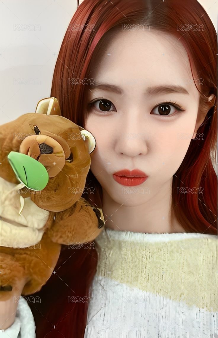 正規二 k4 5.0 特典卡 矮袋鼠麵 正面