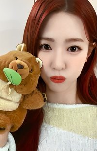 正規二 k4 5.0 特典卡 矮袋鼠麵