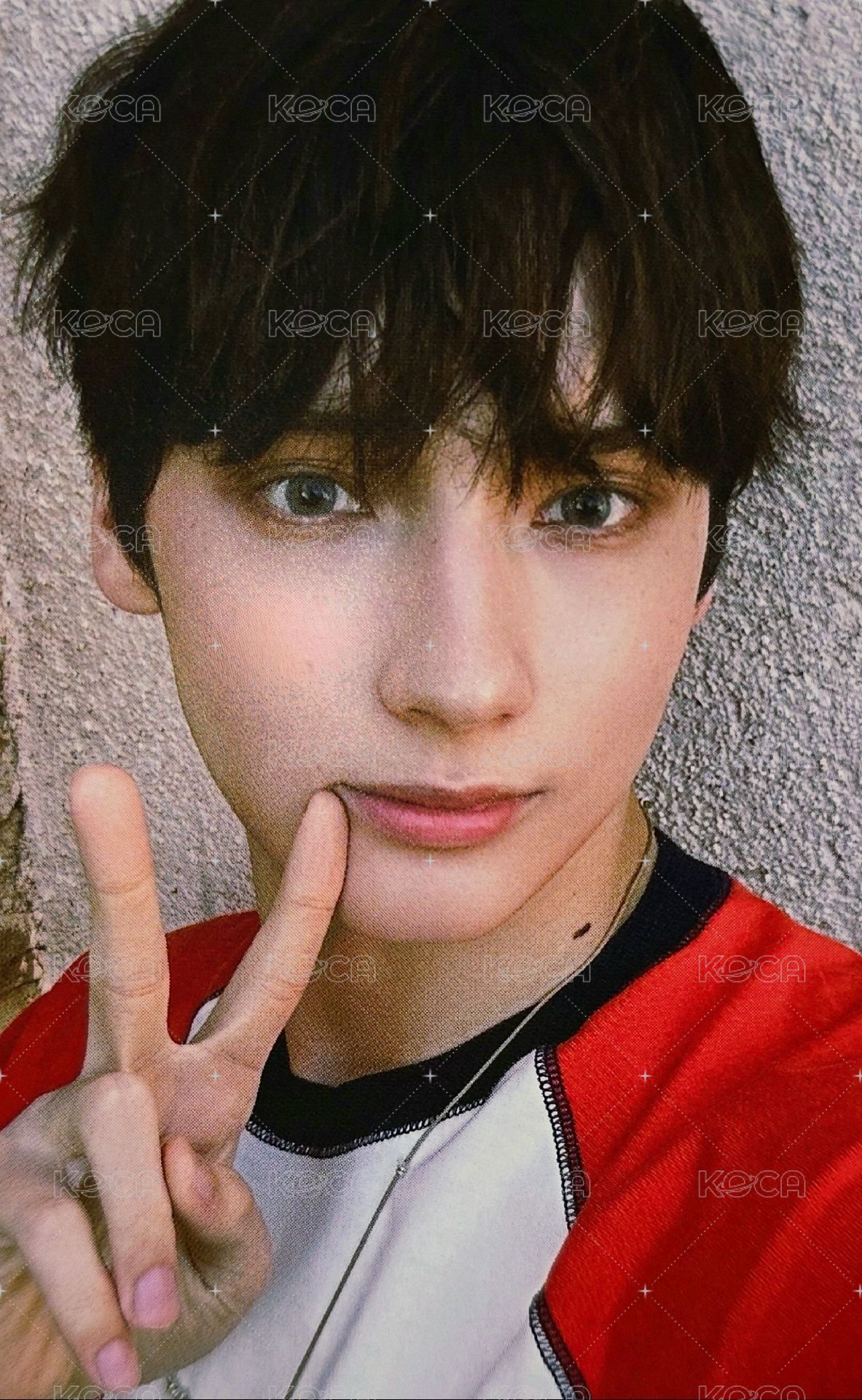 愛之語 日咖 特典卡  正面