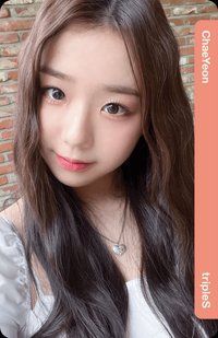 2024年曆 年曆卡 C314