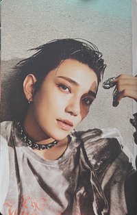 正五 專輯卡 正規五｜WVS電子專 ver.