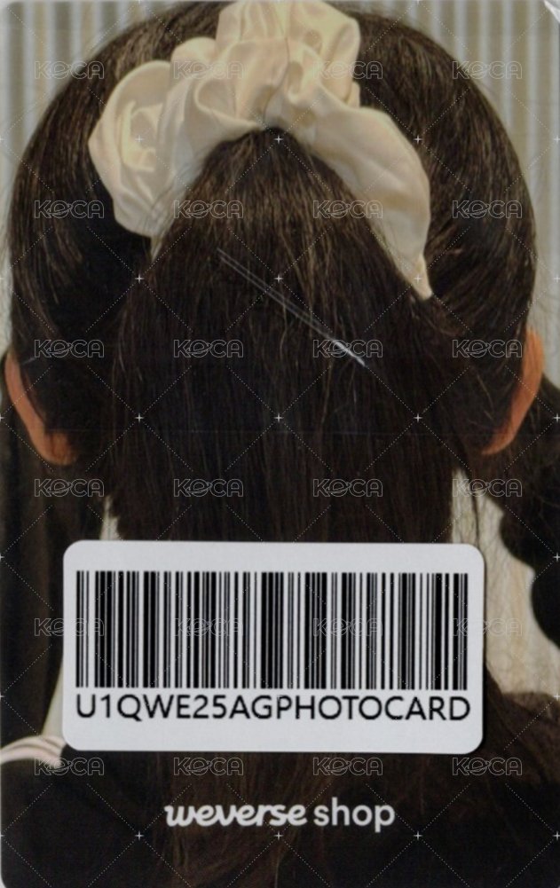 迷三 wvs 1.0 簽售卡  背面